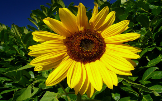 582770 (a): :1680x1050